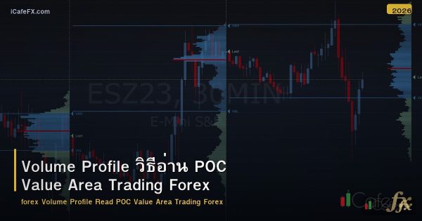 Volume Profile วิธีอ่าน POC Value Area Trading Forex