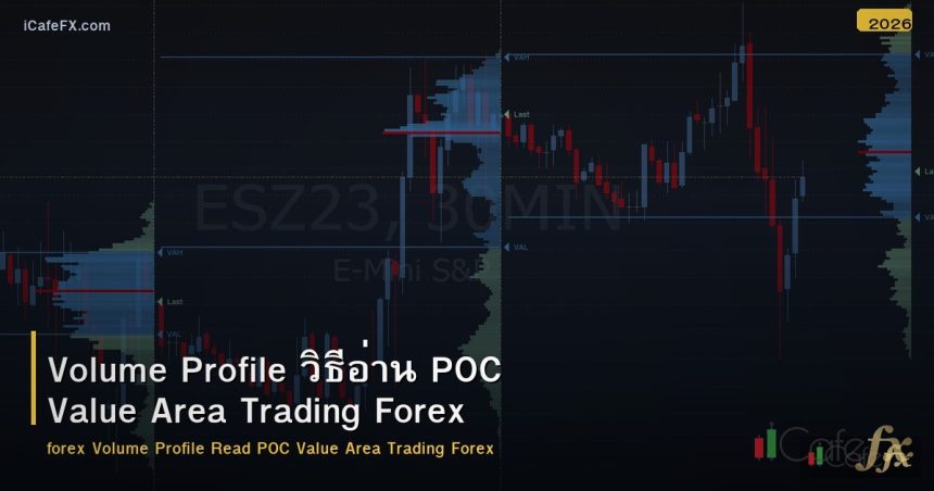 Volume Profile วิธีอ่าน POC Value Area Trading Forex