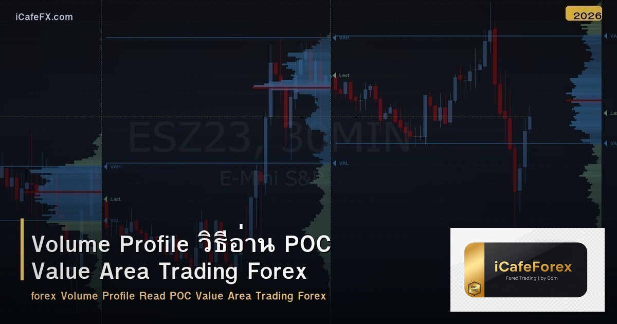 Volume Profile วิธีอ่าน POC Value Area Trading Forex