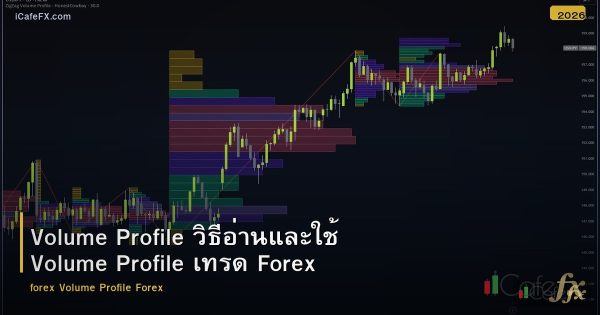 Volume Profile วิธีอ่านและใช้ Volume Profile เทรด Forex