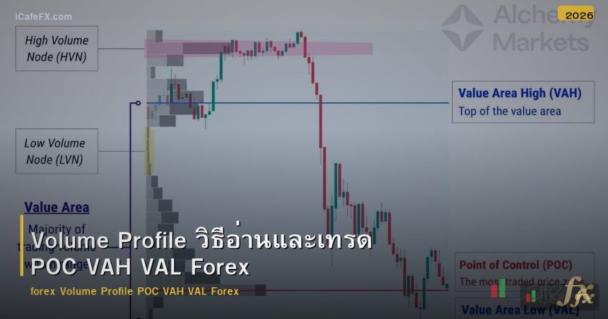 Volume Profile วิธีอ่านและเทรด POC VAH VAL Forex