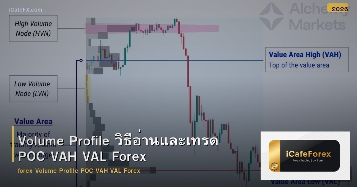 Volume Profile วิธีอ่านและเทรด POC VAH VAL Forex