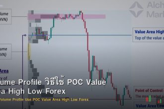 Volume Profile วิธีใช้ POC Value Area High Low Forex