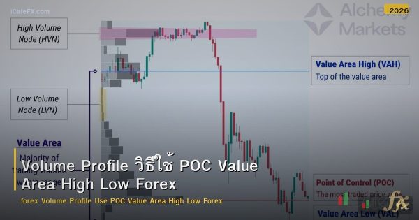 Volume Profile วิธีใช้ POC Value Area High Low Forex