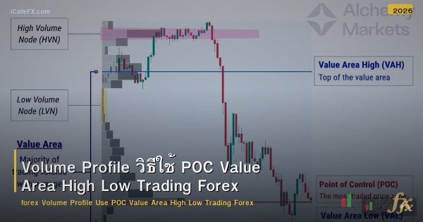 Volume Profile วิธีใช้ POC Value Area High Low Trading Forex