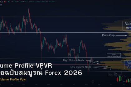 Volume Profile VPVR คู่มือฉบับสมบูรณ์ Forex 2026