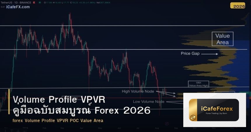 Volume Profile VPVR คู่มือฉบับสมบูรณ์ Forex 2026
