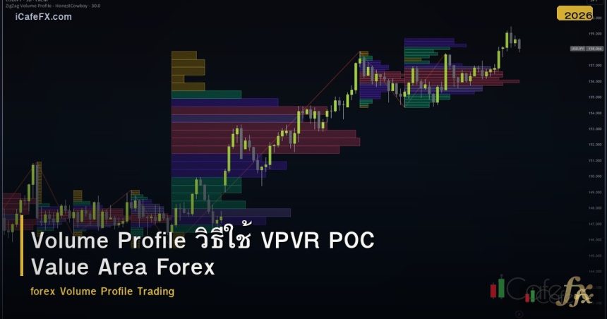 Volume Profile วิธีใช้ VPVR POC Value Area Forex