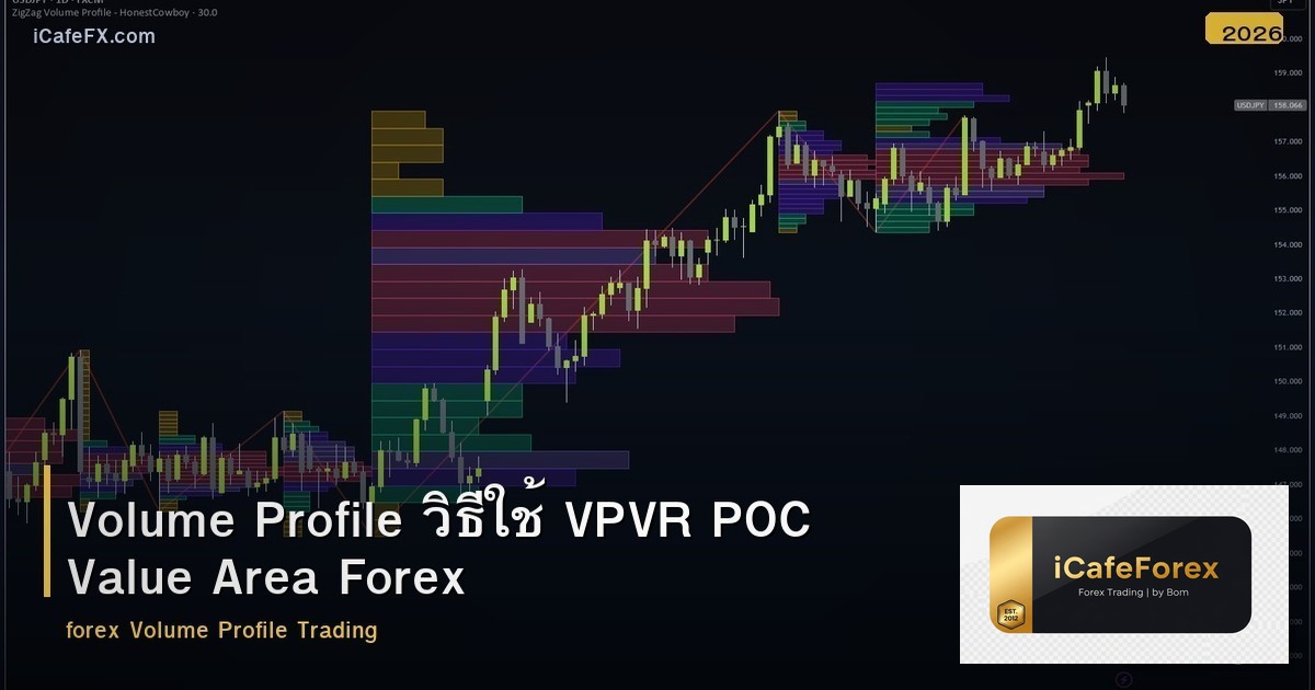 Volume Profile วิธีใช้ VPVR POC Value Area Forex