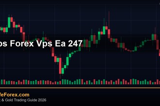 VPS Forex วิธีเลือกและตั้งค่า VPS สำหรับเทรด EA 24/7