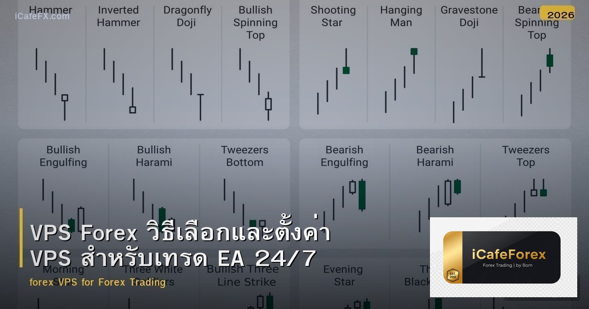 VPS Forex วิธีเลือกและตั้งค่า VPS สำหรับเทรด EA 24/7