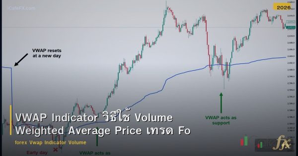 VWAP Indicator วิธีใช้ Volume Weighted Average Price เทรด Forex