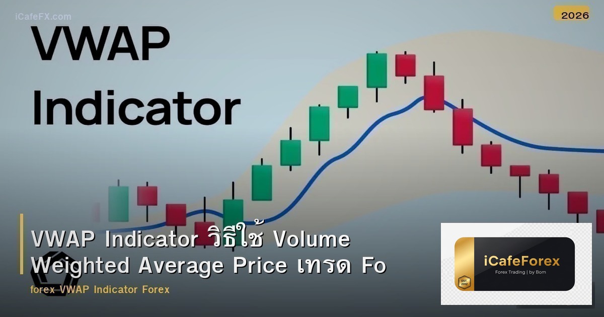 VWAP Indicator วิธีใช้ Volume Weighted Average Price เทรด Forex
