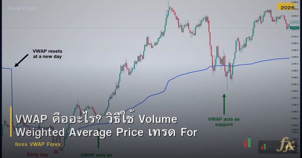 VWAP คืออะไร? วิธีใช้ Volume Weighted Average Price เทรด Forex