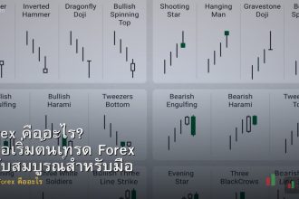 Forex คืออะไร? คู่มือเริ่มต้นเทรด Forex ฉบับสมบูรณ์สำหรับมือใหม่ 2025