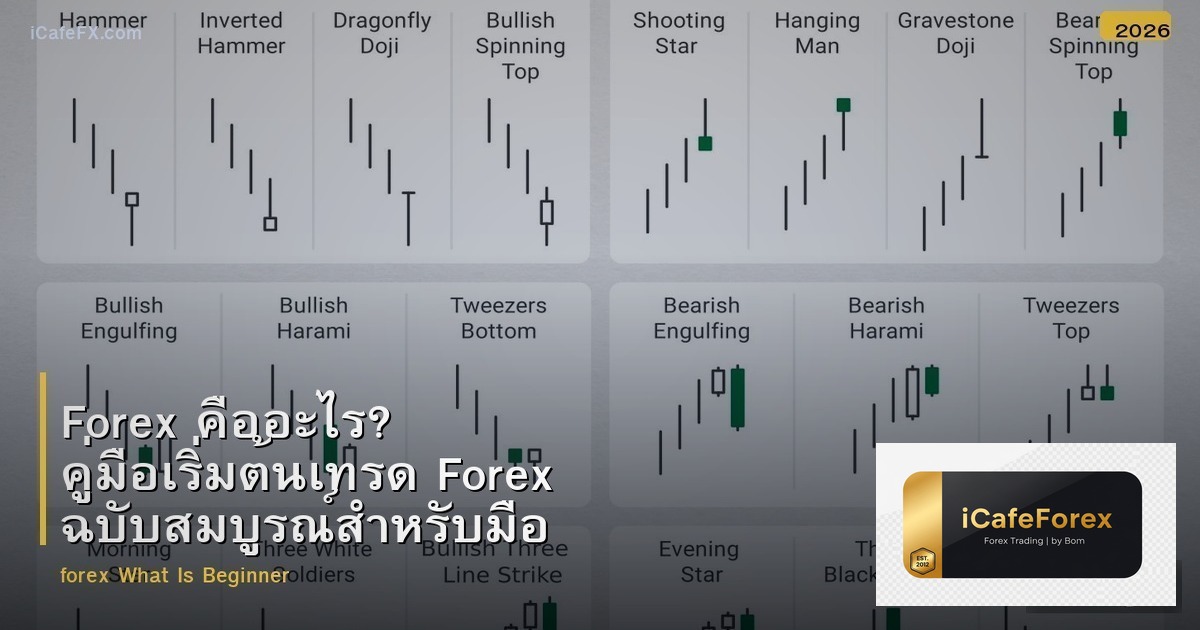Forex คืออะไร? คู่มือเริ่มต้นเทรด Forex ฉบับสมบูรณ์สำหรับมือใหม่ 2025