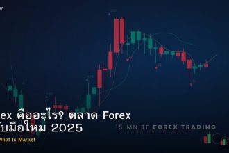 Forex คืออะไร? ตลาด Forex ฉบับมือใหม่ 2025