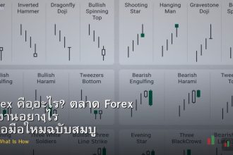 Forex คืออะไร? ตลาด Forex ทำงานอย่างไร คู่มือมือใหม่ฉบับสมบูรณ์
