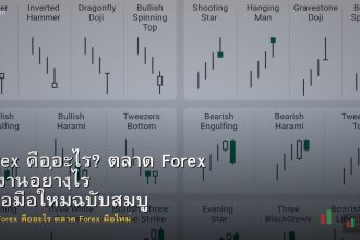 Forex คืออะไร? ตลาด Forex ทำงานอย่างไร คู่มือมือใหม่ฉบับสมบูรณ์