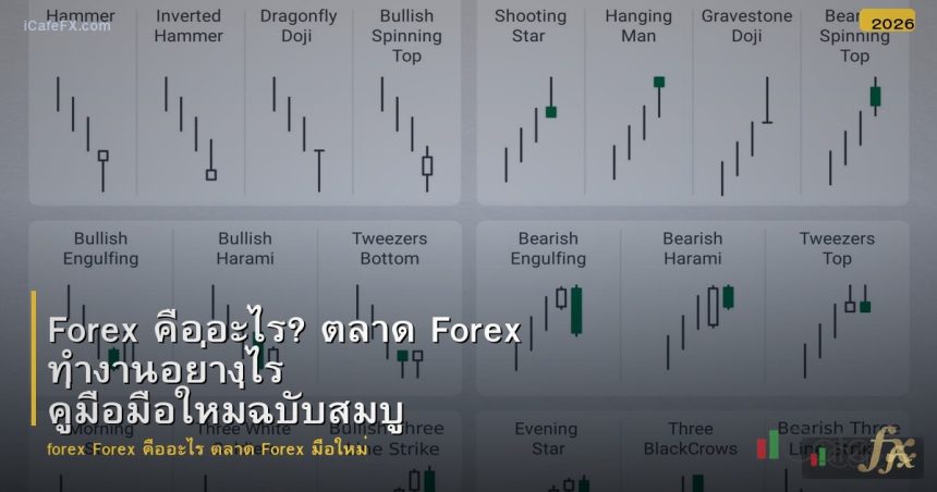 Forex คืออะไร? ตลาด Forex ทำงานอย่างไร คู่มือมือใหม่ฉบับสมบูรณ์