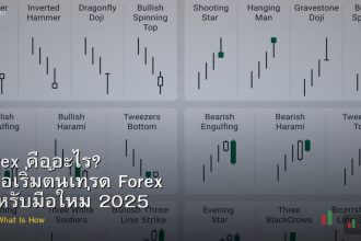 Forex คืออะไร? คู่มือเริ่มต้นเทรด Forex สำหรับมือใหม่ 2025