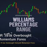Williams %R วิธีใช้ Overbought Oversold Momentum Forex