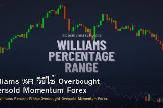 Williams %R วิธีใช้ Overbought Oversold Momentum Forex