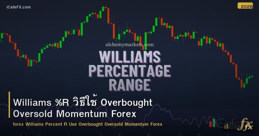 Williams %R วิธีใช้ Overbought Oversold Momentum Forex