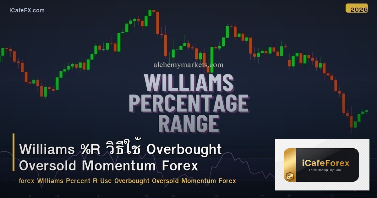 Williams %R วิธีใช้ Overbought Oversold Momentum Forex