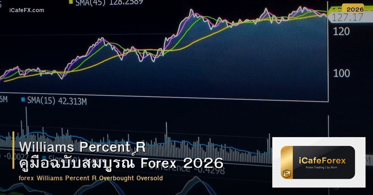 Williams Percent R คู่มือฉบับสมบูรณ์ Forex 2026