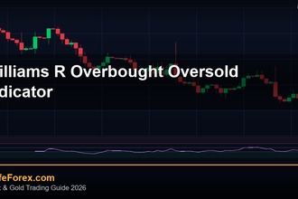 Williams %R วิธีใช้ Overbought Oversold Indicator Forex