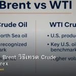 น้ำมัน WTI Brent วิธีเทรด Crude Oil CFD Forex