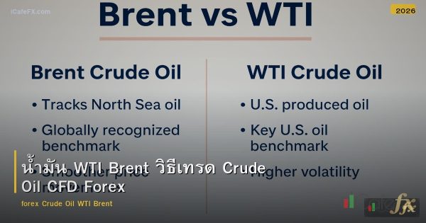 น้ำมัน WTI Brent วิธีเทรด Crude Oil CFD Forex