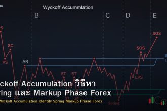 Wyckoff Accumulation วิธีหา Spring และ Markup Phase Forex