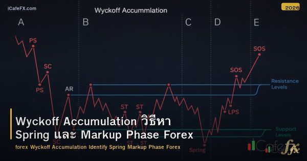 Wyckoff Accumulation วิธีหา Spring และ Markup Phase Forex
