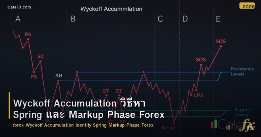 Wyckoff Accumulation วิธีหา Spring และ Markup Phase Forex