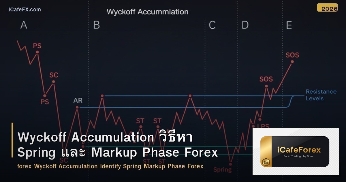 Wyckoff Accumulation วิธีหา Spring และ Markup Phase Forex