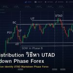 Wyckoff Distribution วิธีหา UTAD และ Markdown Phase Forex