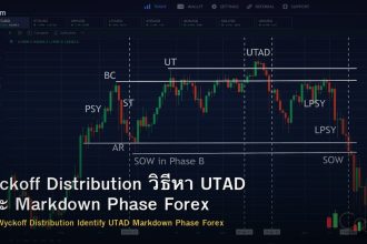 Wyckoff Distribution วิธีหา UTAD และ Markdown Phase Forex