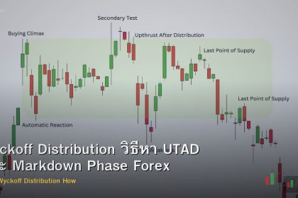 Wyckoff Distribution วิธีหา UTAD และ Markdown Phase Forex