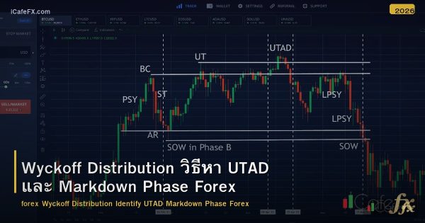 Wyckoff Distribution วิธีหา UTAD และ Markdown Phase Forex