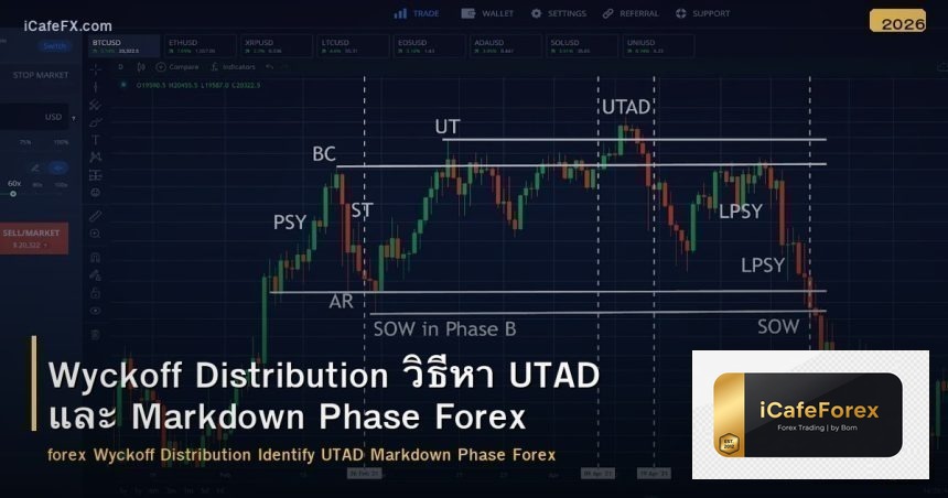 Wyckoff Distribution วิธีหา UTAD และ Markdown Phase Forex