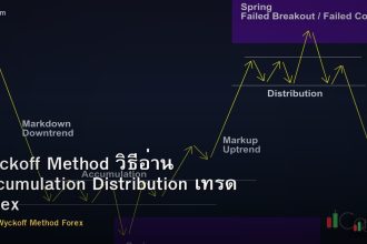 Wyckoff Method วิธีอ่าน Accumulation Distribution เทรด Forex