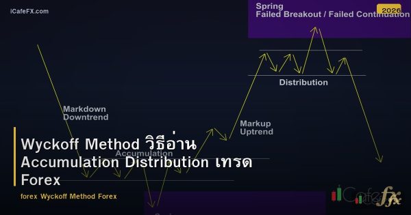 Wyckoff Method วิธีอ่าน Accumulation Distribution เทรด Forex