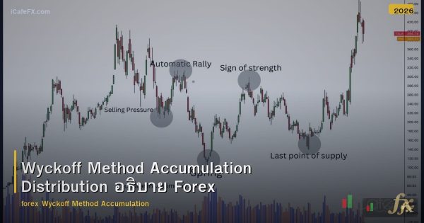 Wyckoff Method Accumulation Distribution อธิบาย Forex