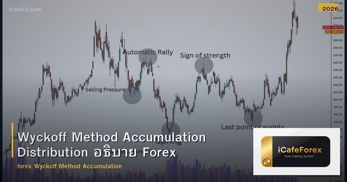 Wyckoff Method Accumulation Distribution อธิบาย Forex