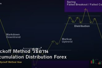 Wyckoff Method วิธีอ่าน Accumulation Distribution Forex