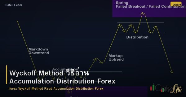 Wyckoff Method วิธีอ่าน Accumulation Distribution Forex