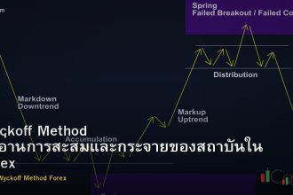 Wyckoff Method วิธีอ่านการสะสมและกระจายของสถาบันใน Forex