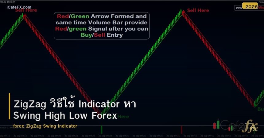 ZigZag วิธีใช้ Indicator หา Swing High Low Forex